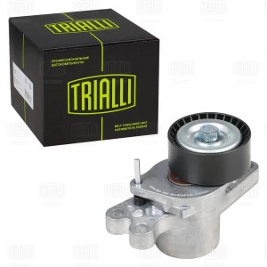 Ролик привод. ремня Peugeot 206 (98-) 1.1i/1.4i/1.6i (с натяж. мех) автомат. (CM CM 5424 TRIALLI