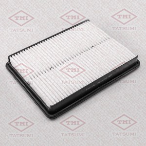 HYUNDAI SANTA FE (2012>) TBC1102 TATSUMI