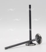 VE-57000 клапан вып RENAULT F4RF4P 29x5.5x108.9 VE57000 VE-57000 AUTOWELT