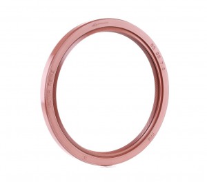 MITSUBISHI, HYUNDAI 2.5TD 80x96x9 815332210 VICTOR REINZ