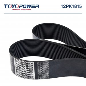 ремень поликлиновой TOYOPOWER 12PK1815 12PK1815 TOYOPOWER