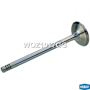 Клапан выпускной WOZ1017GG WOZ1017GG KRAUF