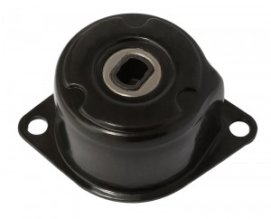 Натяжитель ремня приводного VW T4 2.0-2.5 90-03 (INA 534017210) AG00020 AG00020 MILES