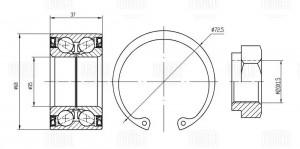 Подшипник ступицы Skoda Felicia (94-) перед. (кмпл:подш./стоп.кол./гайка) (CS 18 CS 1895 TRIALLI