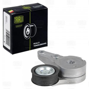 Ролик привод. ремня для а/м Ford Focus III (11-)/Kuga (13-) 1.5T/1.6T (с натяж.  CM 5463 TRIALLI
