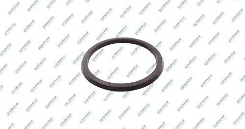 Уплoтнитeльнoe кoльцo  2шт K030929 KACMAZLAR
