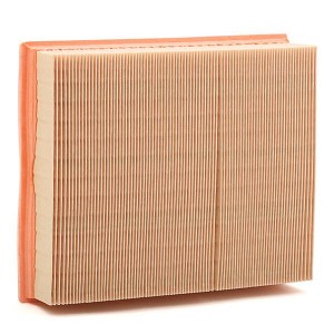 LAND ROVER RANGE ROVER (CLASSIC) (1994-2003) C25146 MANN FILTER