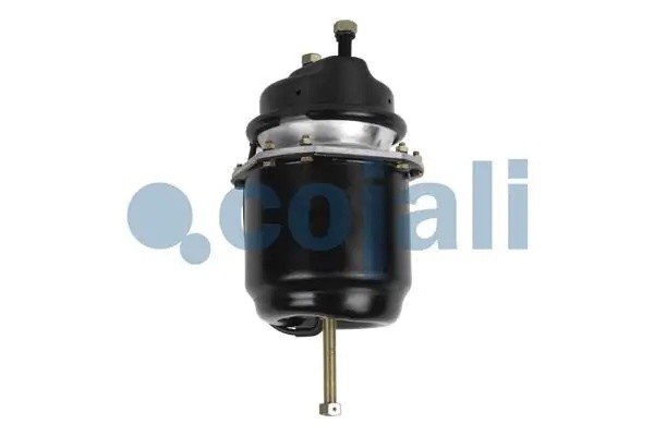 Энергоаккумулятор 24/ 30 2251515 COJALI