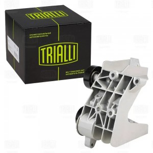 Ролик приводного ремня с натяжным механизмом CM 5274 TRIALLI