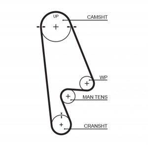 Ремень зубчатый 5480XS 112 x 24 (8597-15480) 5480XS GATES