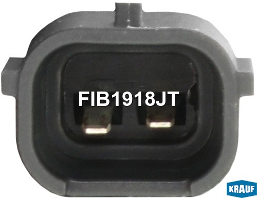 форсунка бензиновая!\ Peugeot 207/307 1.6 16V, Citroen C4/Xsara 1.6 16V 04> FIB1918JT KRAUF