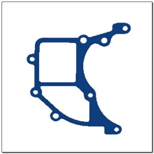 Прокладка SSANGYONG Actyon (06-),Kyron (05-),Rexton (02-) (D20/27,OM600) насоса  6062010180 SSANG YONG
