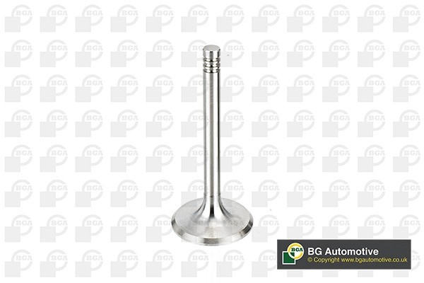 клапан впускной! 39.5x8x91.9\ Seat Toledo, VW Passat/T4 2.0/2.5 90> V033313 BG AUTOMOTIVE