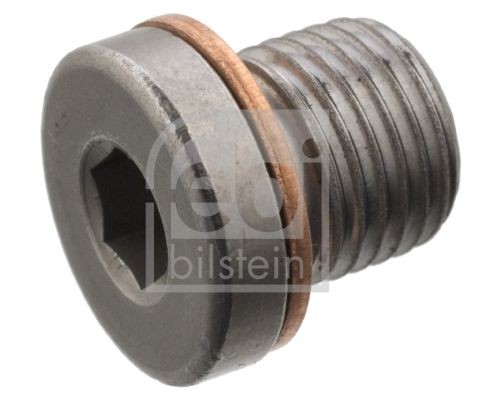 Резьбовая пробка, масляный поддон 101020 101020 FEBI BILSTEIN