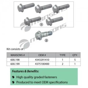 Болт SAF крепления диска тормозного комплект 6шт. MANSONS 600.256 MANSONS