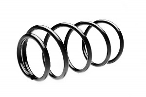 FORD EUROPA FOCUS II (2005-2008) седан 1.4-1.6 ST110109F STANDARD SPRINGS