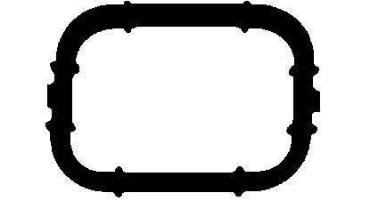 Прокладка коллектора BMW 3 (E46,E92),5 (E60,E61) впускного ELRING 074.990 ELRING