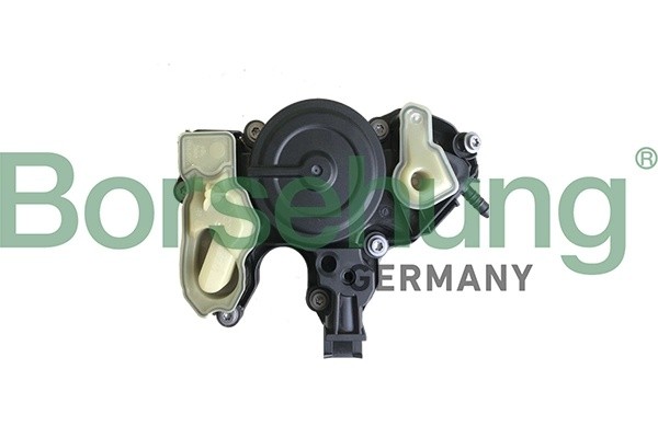 маслоотделитель картера!\ Audi, Seat, Skoda, VW Golf/Passat B18956 BORSEHUNG