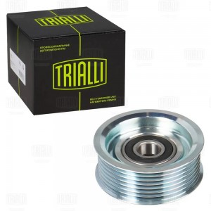 Ролик приводного ремня опорный CM 5875 TRIALLI
