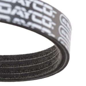 TRANSIT (2006>) 4PK922EE DAYCO