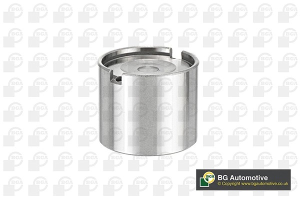 гидрокомпенсатор!\ Audi 80/100, VW Golf/Passat/T2/LT 1.3-2.4TD 72-96 CF6896 BG AUTOMOTIVE