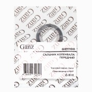 RENAULT 1.5DCI GIE11100 GANZ