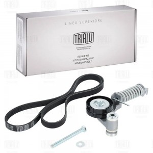 Ремкомплект привода (5PK1355+натяжитель) GD 1209 TRIALLI
