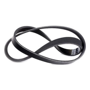 SUBARU FORESTER/IMPREZA/LEGACY 5PK880 DAYCO