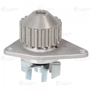 CITROEN / PEUGEOT LWP 2023 LUZAR