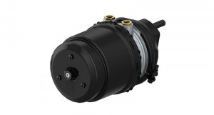 Энергоаккумулятор (дисковый тормоз) TYPE 20/24 IBV Voss 230/232 9254800050 WABCO