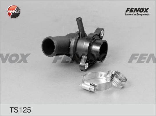 Термостат TS125 FENOX