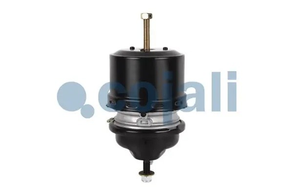 Энергоаккумулятор TYPE20/24 DAF/BPW/MB аналог Knorr BS9404 2351306 COJALI