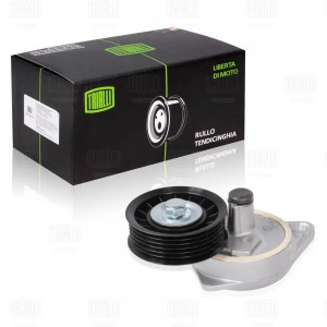 Ролик привод. ремня Ford Focus I (98-) 1.6i/1.8i/2.0i Zetec-E (с натяж. мех.) (п CM 1007N TRIALLI