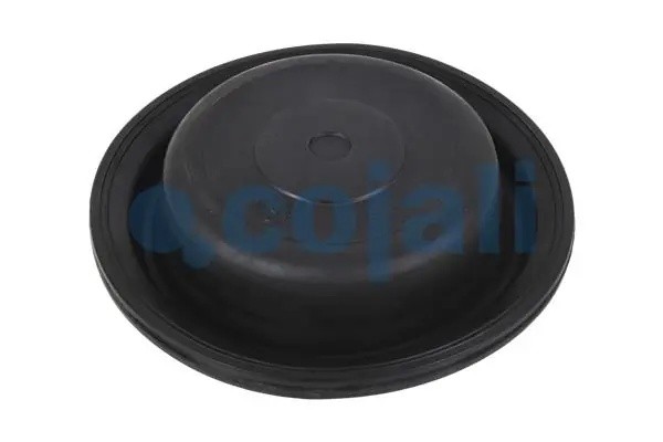 Диафрагма энергоаккумулятора T20 6001114 COJALI