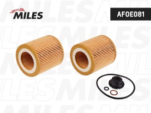 Фильтр масляный (вставка) BMW E90/E60/X5 (E70)/X6 (E71) 2.0-3.0 04- (FILTRON OE6 AFOE081 MILES
