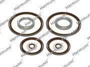 HR11361440134 РЕМКОМПЛЕКТ ИСПОЛНИТЕЛЬНОГО УЗЛА VANOS M52TU/M54 HR11361440134 HERMANN