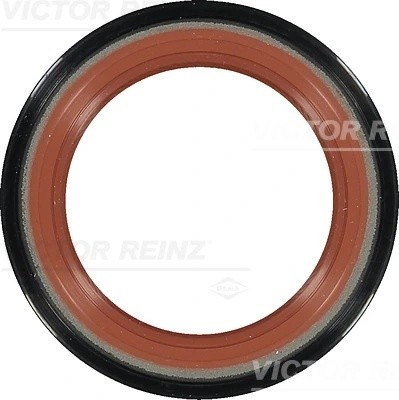 VOLVO 81-37186-00 VICTOR REINZ
