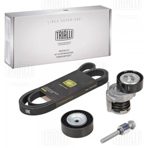 Ремкомплект генер. для а м VW Polo (10-) 1.4i 1.6i AC (1рем.6PK1733+2ролика) (GD GD 737 TRIALLI