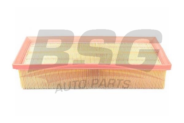 Фильтр воздушный VW Golf,Passat,Tiguan AUDI A3 (03-),Q3 SKODA Octavia (TSI/TDI)  BSG90135011 BSG