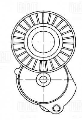 Ролик привод. ремня Volvo XC60 (07-)/S80 (06-) 2.0i/2.4i/2.5i (с натяж. мех.) (C CM5385 TRIALLI