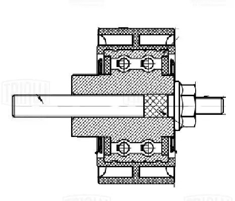 ролик обводной!\ BMW F10 3.0D 09-16/F15/F85 2.0D/3.0D 13> CM5683 TRIALLI