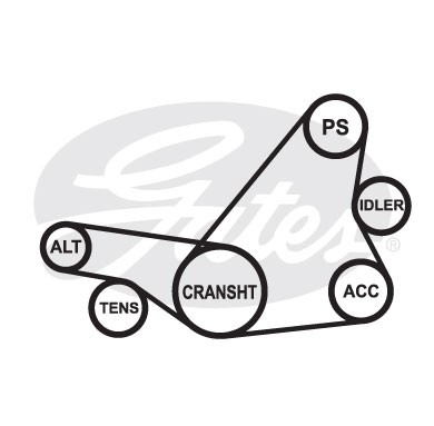 MITSUBISHI GALANT/TOYOTA CARINA E 5PK1110 5-PK-1113 GATES