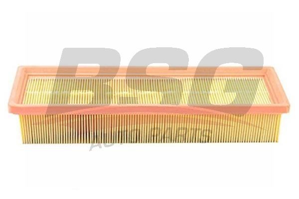 Фильтр воздушный PEUGEOT 207,Partner CITROEN Berlingo,C2,C3 BSG BSG70135006 BSG