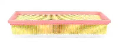 Фильтр воздушный PEUGEOT 207 (06-),308 (07-) CITROEN C4 (04-) (1.6 HDI) BSG BSG70135002 BSG