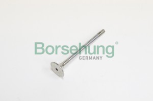 клапан выпускной! 26x5.97x99.1\ Audi, VW, Skoda, Seat 2.0TDI 05> B19004 BORSEHUNG