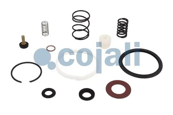 Ремкомплект RENAULT IVECO MAN осушителя воздуха COJALI 6014147 COJALI