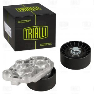 Ролик ГРМ (натяжной/опорный) 2 шт CM6229 TRIALLI