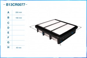 Фильтр воздушный B13CR0077 B13CR0077 CWORKS
