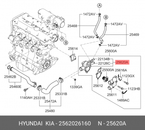 KIA CERATO (2004-2008)/HYUNDAI ELANTRA (2000-2005) 1.6 16v 2562026160 HYUNDAI KIA
