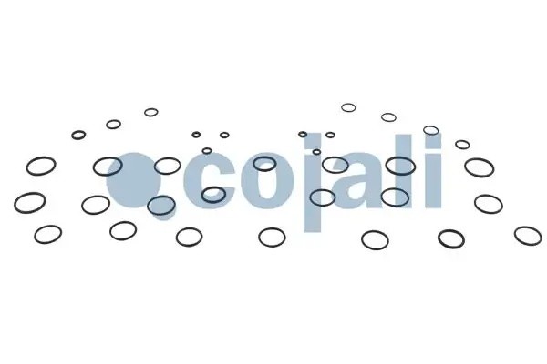 РМК платы клапанов 6014059 COJALI